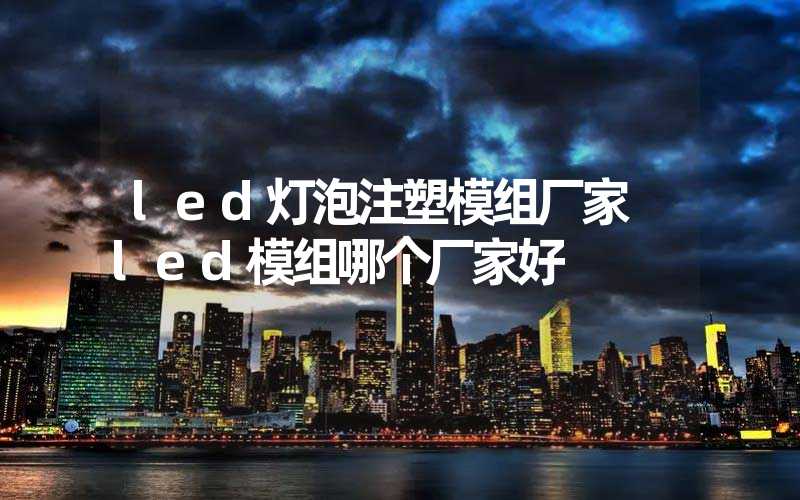 led灯泡注塑模组厂家 led模组哪个厂家好